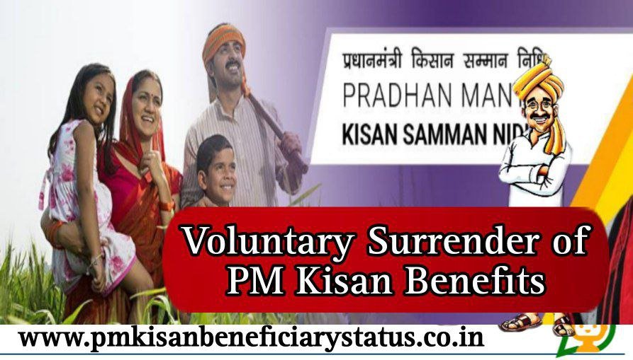 Voluntary Surrender Of PM Kisan Benefits Complete Process
